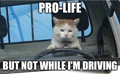 Better stay off the sidewalk... | PRO-LIFE; BUT NOT WHILE I'M DRIVING | image tagged in memes,driving | made w/ Imgflip meme maker