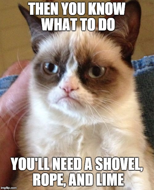 Grumpy Cat Meme | THEN YOU KNOW WHAT TO DO YOU'LL NEED A SHOVEL, ROPE, AND LIME | image tagged in memes,grumpy cat | made w/ Imgflip meme maker