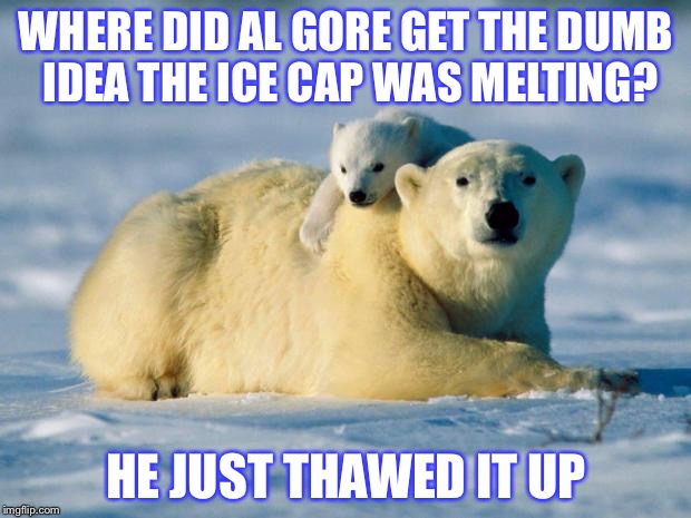 Bad Global Warming Pun Polar Bear |  WHERE DID AL GORE GET THE DUMB IDEA THE ICE CAP WAS MELTING? HE JUST THAWED IT UP | image tagged in polar bears,global warming,al gore | made w/ Imgflip meme maker