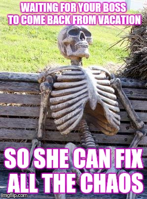 Waiting Skeleton Meme | WAITING FOR YOUR BOSS TO COME BACK FROM VACATION; SO SHE CAN FIX ALL THE CHAOS | image tagged in memes,waiting skeleton | made w/ Imgflip meme maker