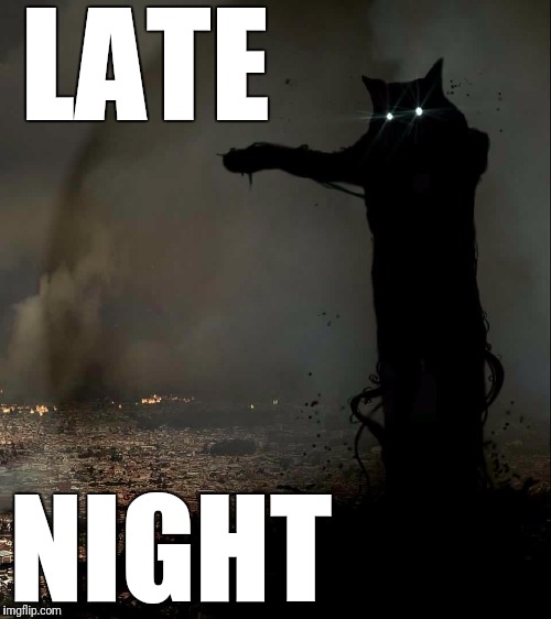 Godzilla Cat | LATE NIGHT | image tagged in godzilla cat | made w/ Imgflip meme maker
