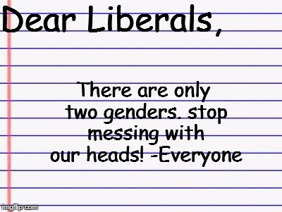 Honest letter | Dear Liberals, There are only two genders. stop messing with our heads! -Everyone | image tagged in honest letter | made w/ Imgflip meme maker