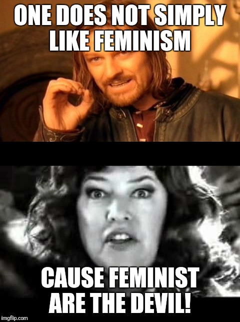 ONE DOES NOT SIMPLY LIKE FEMINISM; CAUSE FEMINIST ARE THE DEVIL! | image tagged in memes | made w/ Imgflip meme maker