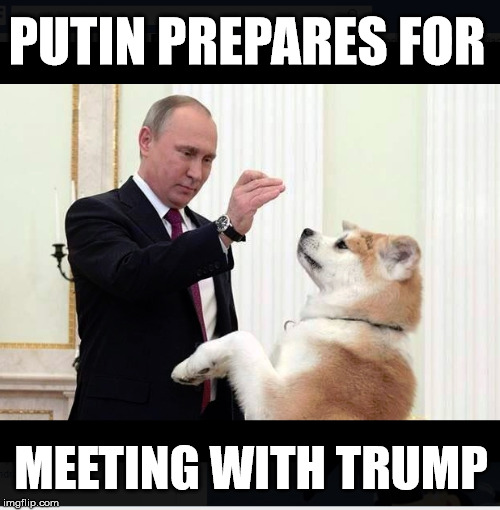 putin | PUTIN PREPARES FOR; MEETING WITH TRUMP | image tagged in trump,putin | made w/ Imgflip meme maker