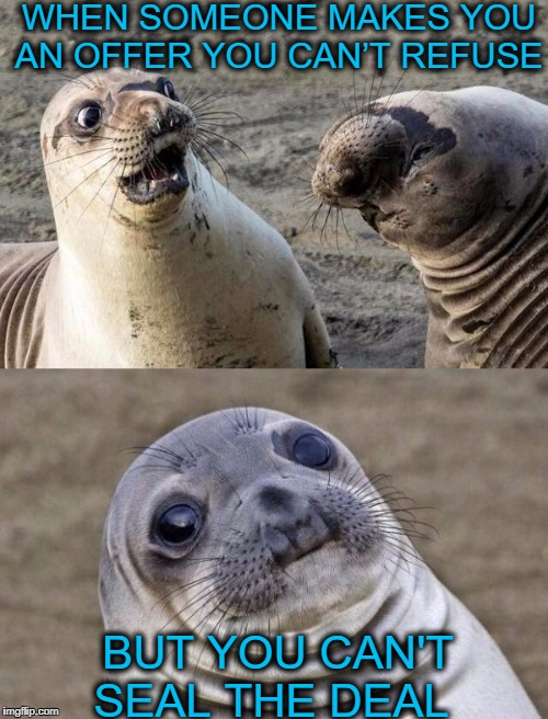 awkward seal meets awkward seal   | WHEN SOMEONE MAKES YOU AN OFFER YOU CAN’T REFUSE; BUT YOU CAN'T SEAL THE DEAL | image tagged in two awkward seals,memes,funny,puns,animals | made w/ Imgflip meme maker