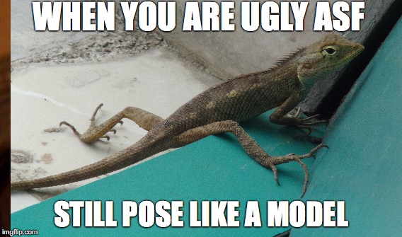 I m gonna be model | WHEN YOU ARE UGLY ASF; STILL POSE LIKE A MODEL | image tagged in supermodel | made w/ Imgflip meme maker