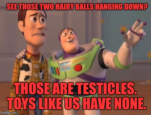 X, X Everywhere Meme | SEE THOSE TWO HAIRY BALLS HANGING DOWN? THOSE ARE TESTICLES. TOYS LIKE US HAVE NONE. | image tagged in memes,x x everywhere | made w/ Imgflip meme maker