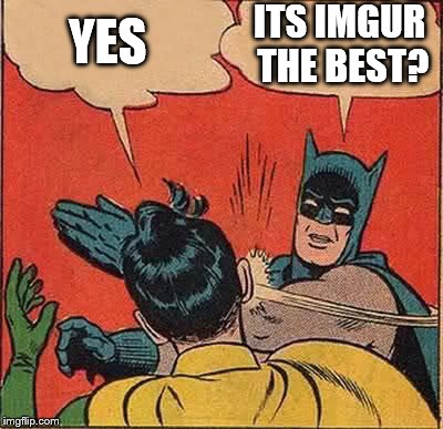 Batman Slapping Robin Meme | YES; ITS IMGUR THE BEST? | image tagged in memes,batman slapping robin | made w/ Imgflip meme maker