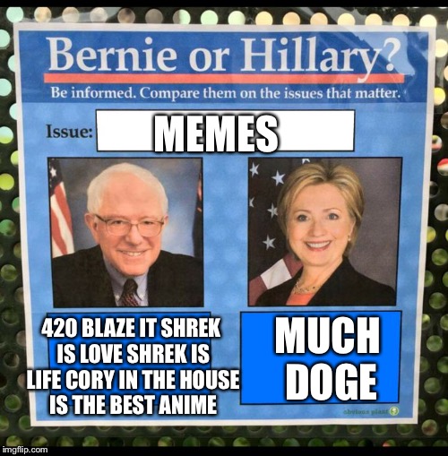 Bernie or Hillary? | MEMES; 420 BLAZE IT SHREK IS LOVE SHREK IS LIFE CORY IN THE HOUSE IS THE BEST ANIME; MUCH DOGE | image tagged in bernie or hillary | made w/ Imgflip meme maker