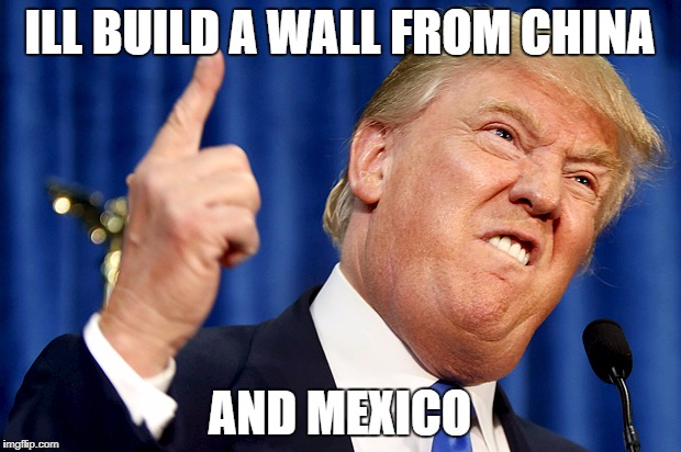 Donald Trump | ILL BUILD A WALL FROM CHINA; AND MEXICO | image tagged in donald trump | made w/ Imgflip meme maker