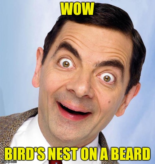 WOW BIRD'S NEST ON A BEARD | made w/ Imgflip meme maker