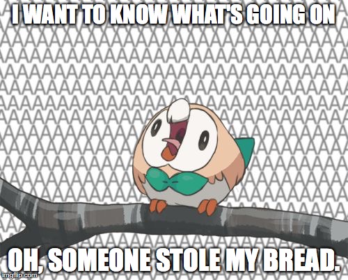  I WANT TO KNOW WHAT'S GOING ON; OH, SOMEONE STOLE MY BREAD. | image tagged in screaming rowlet | made w/ Imgflip meme maker
