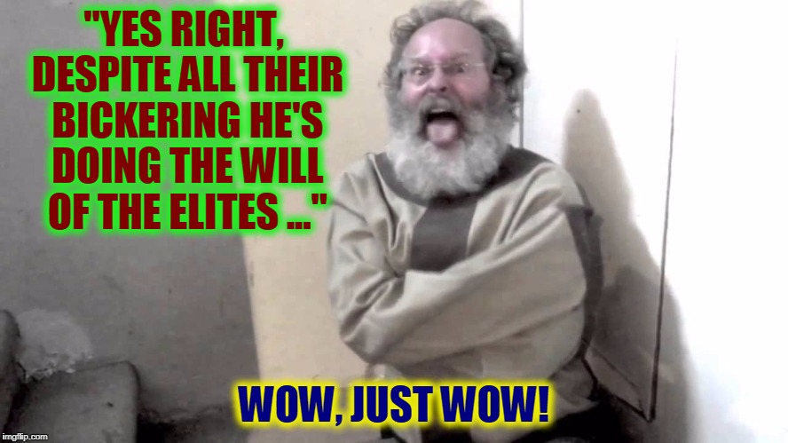 Nuts | "YES RIGHT, DESPITE ALL THEIR BICKERING HE'S DOING THE WILL OF THE ELITES ..." WOW, JUST WOW! | image tagged in nuts | made w/ Imgflip meme maker