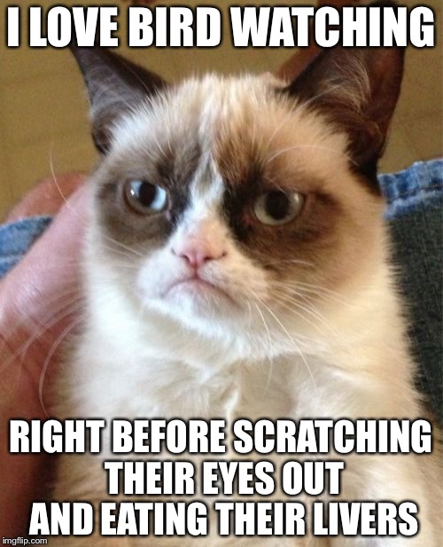 Grumpy Cat Meme | I LOVE BIRD WATCHING; RIGHT BEFORE SCRATCHING THEIR EYES OUT AND EATING THEIR LIVERS | image tagged in memes,grumpy cat | made w/ Imgflip meme maker