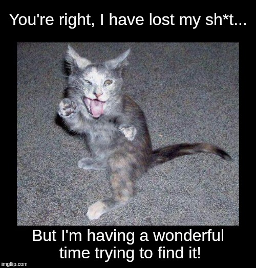 Crazy looking kitten with frame | You're right, I have lost my sh*t... But I'm having a wonderful time trying to find it! | image tagged in crazy looking kitten with frame | made w/ Imgflip meme maker