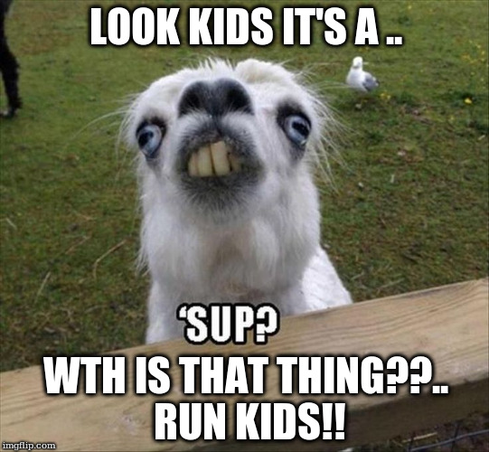 LOOK KIDS IT'S A .. WTH IS THAT THING??.. RUN KIDS!! | made w/ Imgflip meme maker