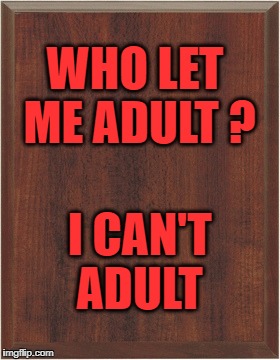 Adulting | WHO LET ME ADULT ? I CAN'T ADULT | image tagged in bad idea | made w/ Imgflip meme maker