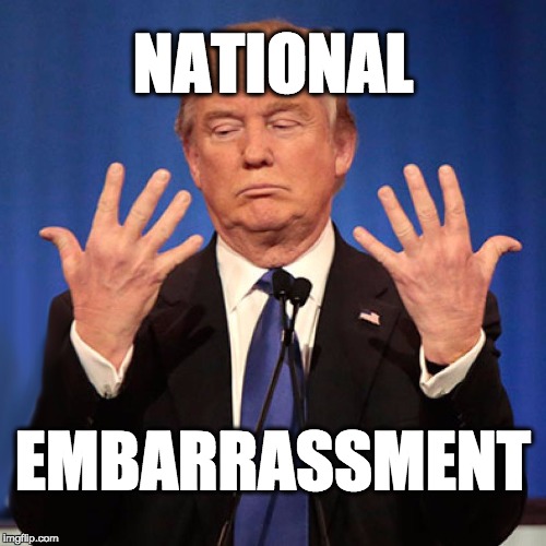 national embarrassment | NATIONAL; EMBARRASSMENT | image tagged in donald trump,trump | made w/ Imgflip meme maker