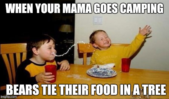 WHEN YOUR MAMA GOES CAMPING; BEARS TIE THEIR FOOD IN A TREE | image tagged in yo momma so fat | made w/ Imgflip meme maker