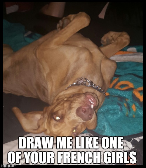 Titanic Bloodhound | DRAW ME LIKE ONE OF YOUR FRENCH GIRLS | image tagged in draw me like one of your french girls | made w/ Imgflip meme maker