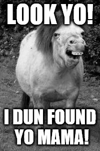 ugly horse | LOOK YO! I DUN FOUND YO MAMA! | image tagged in ugly horse | made w/ Imgflip meme maker