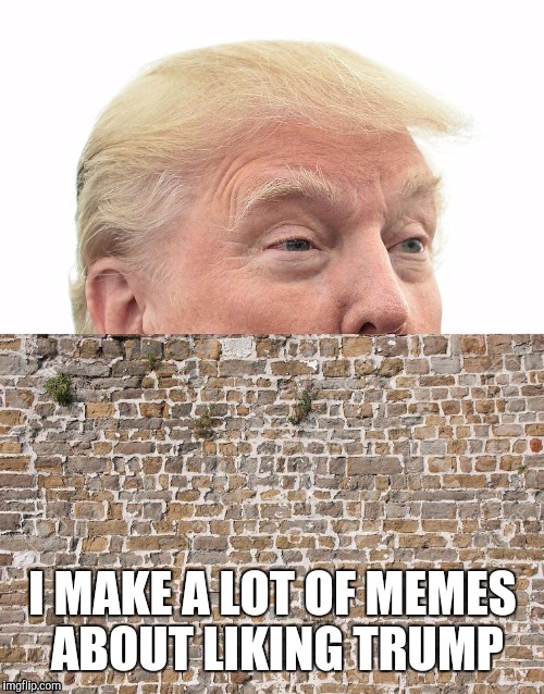 I MAKE A LOT OF MEMES ABOUT LIKING TRUMP | made w/ Imgflip meme maker