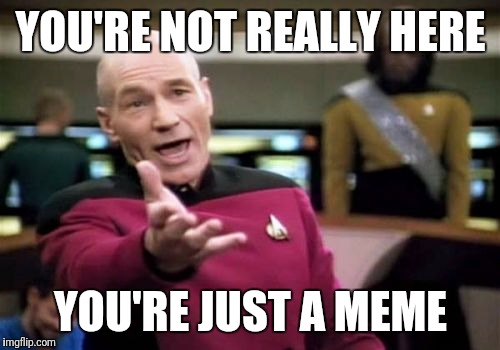 Picard Wtf Meme | YOU'RE NOT REALLY HERE YOU'RE JUST A MEME | image tagged in memes,picard wtf | made w/ Imgflip meme maker