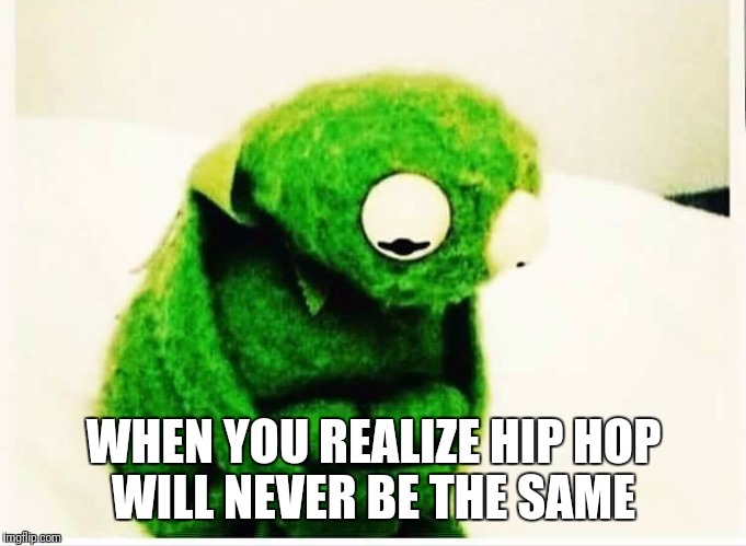 Hip hop | WHEN YOU REALIZE HIP HOP WILL NEVER BE THE SAME | image tagged in kermit,memes,hip hop | made w/ Imgflip meme maker