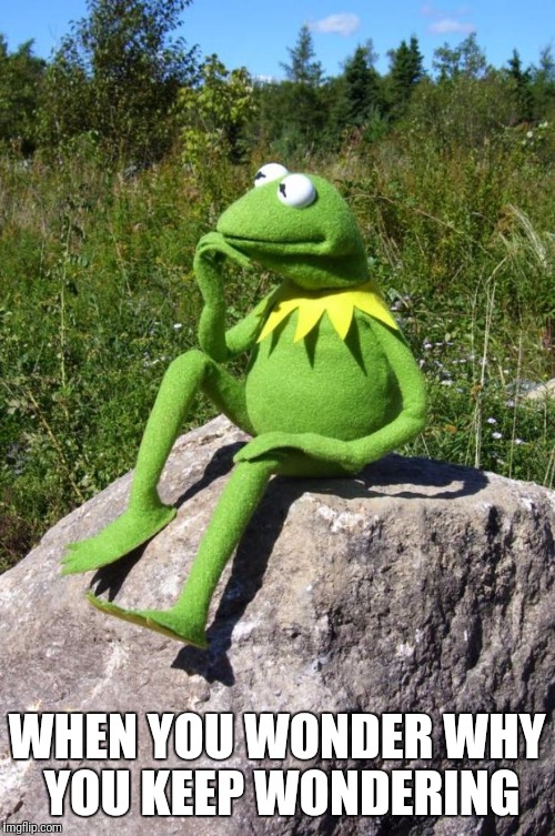 Kermit-thinking | WHEN YOU WONDER WHY YOU KEEP WONDERING | image tagged in kermit-thinking | made w/ Imgflip meme maker