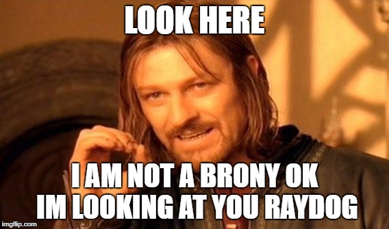 One Does Not Simply | LOOK HERE; I AM NOT A BRONY OK IM LOOKING AT YOU RAYDOG | image tagged in memes,one does not simply | made w/ Imgflip meme maker