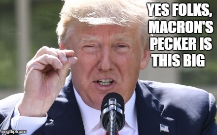 YES FOLKS, MACRON'S PECKER IS THIS BIG | image tagged in donald trump | made w/ Imgflip meme maker
