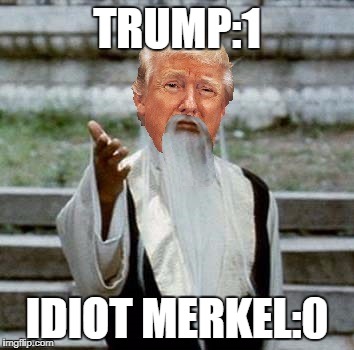 Trumpai Mei | TRUMP:1 IDIOT MERKEL:0 | image tagged in trumpai mei | made w/ Imgflip meme maker