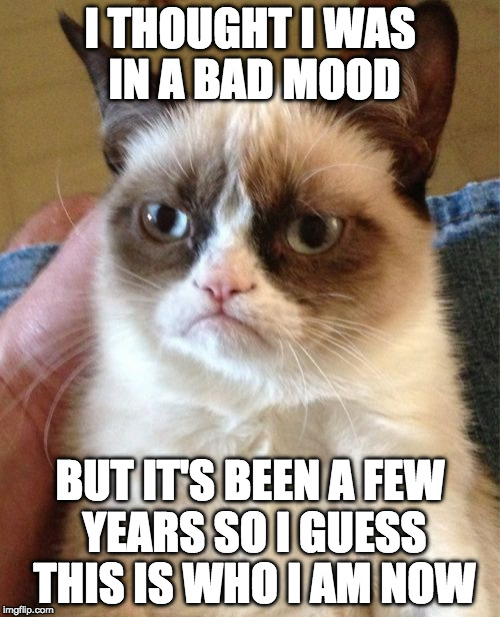 Deal with it. | I THOUGHT I WAS IN A BAD MOOD; BUT IT'S BEEN A FEW YEARS SO I GUESS THIS IS WHO I AM NOW | image tagged in memes,grumpy cat,bad mood,iwanttobebacon,iwanttobebaconcom | made w/ Imgflip meme maker