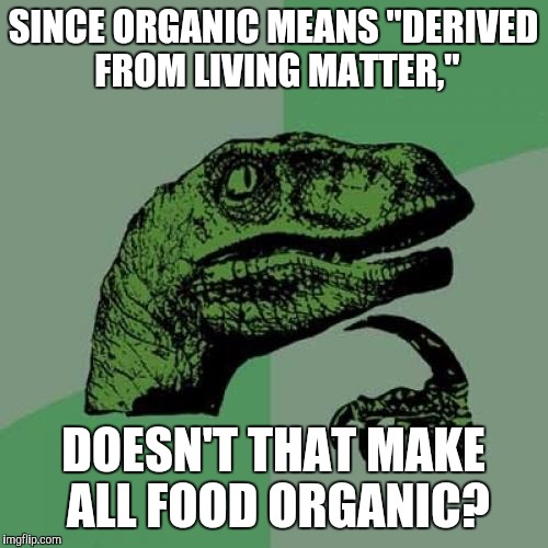 Philosoraptor | SINCE ORGANIC MEANS "DERIVED FROM LIVING MATTER,"; DOESN'T THAT MAKE ALL FOOD ORGANIC? | image tagged in memes,philosoraptor | made w/ Imgflip meme maker