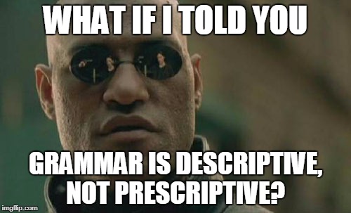Matrix Morpheus Meme | WHAT IF I TOLD YOU; GRAMMAR IS DESCRIPTIVE, NOT PRESCRIPTIVE? | image tagged in memes,matrix morpheus | made w/ Imgflip meme maker