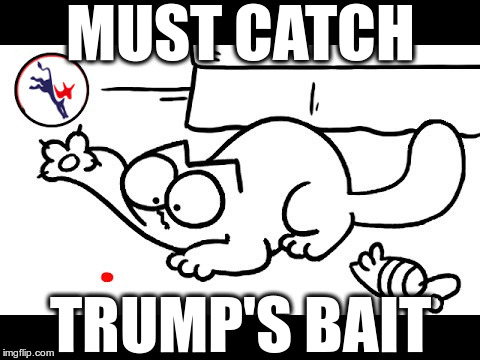 Democrats fall for it | MUST CATCH; TRUMP'S BAIT | image tagged in cat laser toy d,stupid democrats,inbreds,trump dimension | made w/ Imgflip meme maker