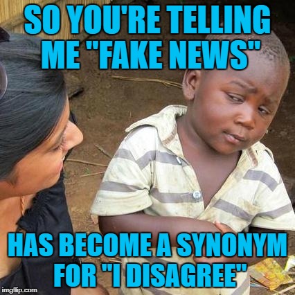 Third World Skeptical Kid Meme | SO YOU'RE TELLING ME "FAKE NEWS"; HAS BECOME A SYNONYM FOR "I DISAGREE" | image tagged in memes,third world skeptical kid | made w/ Imgflip meme maker