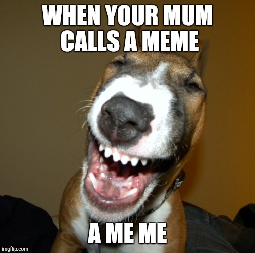 WHEN YOUR MUM CALLS A MEME; A ME ME | image tagged in memes,meme,funny | made w/ Imgflip meme maker