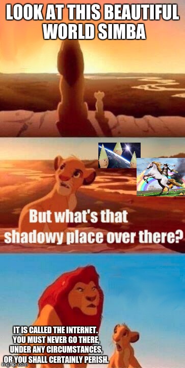 The Internet | LOOK AT THIS BEAUTIFUL WORLD SIMBA; IT IS CALLED THE INTERNET. YOU MUST NEVER GO THERE, UNDER ANY CIRCUMSTANCES, OR YOU SHALL CERTAINLY PERISH. | image tagged in memes,simba shadowy place,dank meme | made w/ Imgflip meme maker