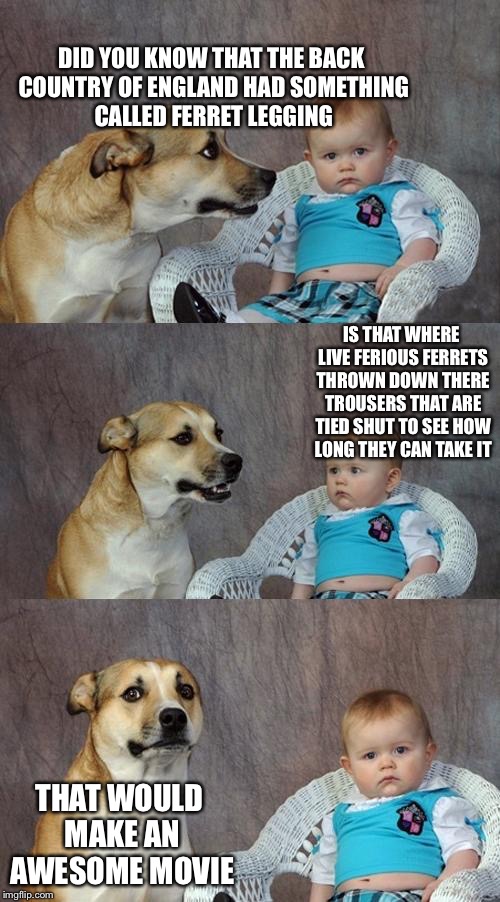 Dad Joke Dog Meme | DID YOU KNOW THAT THE BACK COUNTRY OF ENGLAND HAD SOMETHING CALLED FERRET LEGGING; IS THAT WHERE LIVE FERIOUS FERRETS THROWN DOWN THERE TROUSERS THAT ARE TIED SHUT TO SEE HOW LONG THEY CAN TAKE IT; THAT WOULD MAKE AN AWESOME MOVIE | image tagged in memes,dad joke dog,ferret,england,movie | made w/ Imgflip meme maker