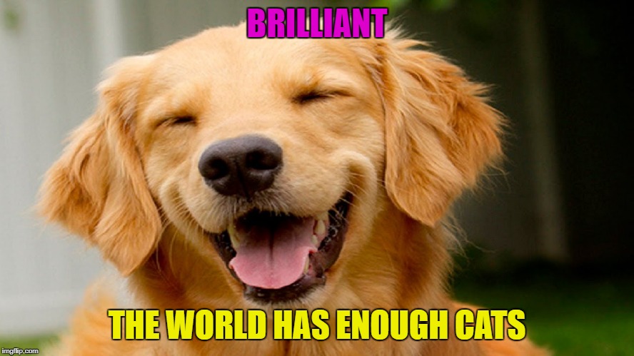 smiling dog | BRILLIANT THE WORLD HAS ENOUGH CATS | image tagged in smiling dog | made w/ Imgflip meme maker