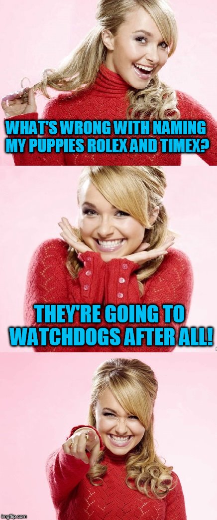 Hayden Red Pun | WHAT'S WRONG WITH NAMING MY PUPPIES ROLEX AND TIMEX? THEY'RE GOING TO WATCHDOGS AFTER ALL! | image tagged in hayden red pun | made w/ Imgflip meme maker