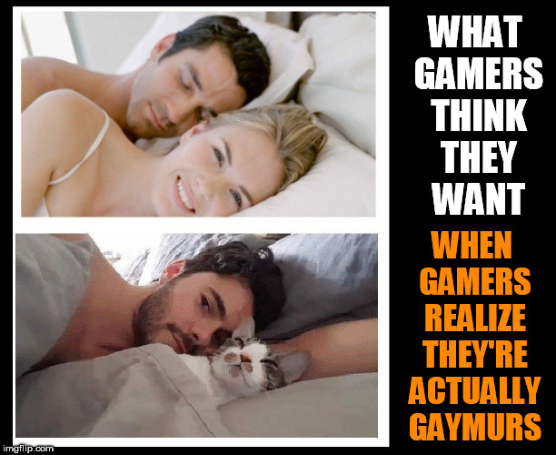 gaymers | WHAT GAMERS THINK THEY WANT; WHEN GAMERS REALIZE THEY'RE ACTUALLY GAYMURS | image tagged in gamers,gamer,gay guy,furries,furry,fursuit | made w/ Imgflip meme maker
