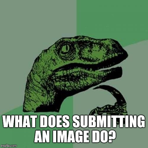 Philosoraptor Meme | WHAT DOES SUBMITTING AN IMAGE DO? | image tagged in memes,philosoraptor | made w/ Imgflip meme maker