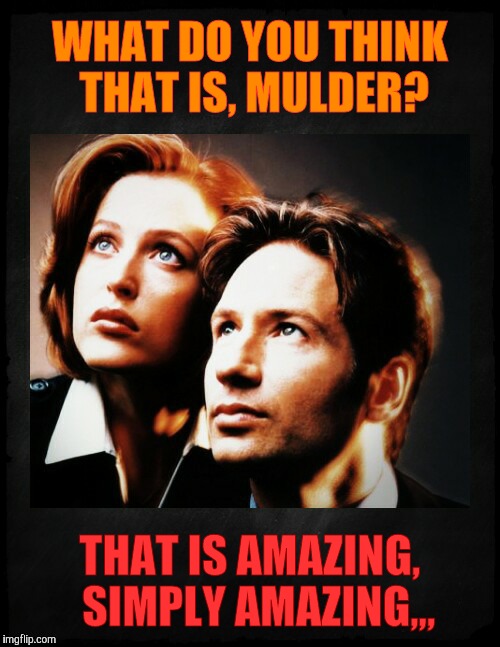 Mulder and Scully gaze to whatever,,, | WHAT DO YOU THINK THAT IS, MULDER? THAT IS AMAZING,   SIMPLY AMAZING,,, | image tagged in mulder and scully gaze to whatever   | made w/ Imgflip meme maker