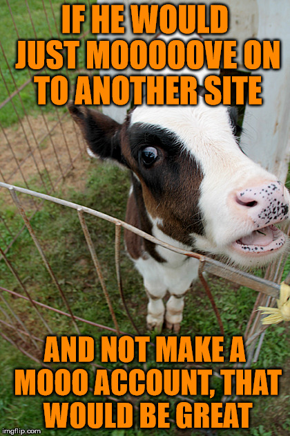 Talking Cow | IF HE WOULD JUST MOOOOOVE ON TO ANOTHER SITE AND NOT MAKE A MOOO ACCOUNT, THAT WOULD BE GREAT | image tagged in talking cow | made w/ Imgflip meme maker