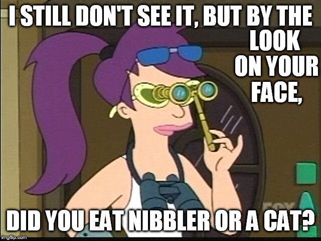 Still Don't See it | LOOK ON YOUR FACE, I STILL DON'T SEE IT, BUT BY THE; DID YOU EAT NIBBLER OR A CAT? | image tagged in memes,futurama leela,can't see,if you look at it like this,futurama nibbler,cat | made w/ Imgflip meme maker