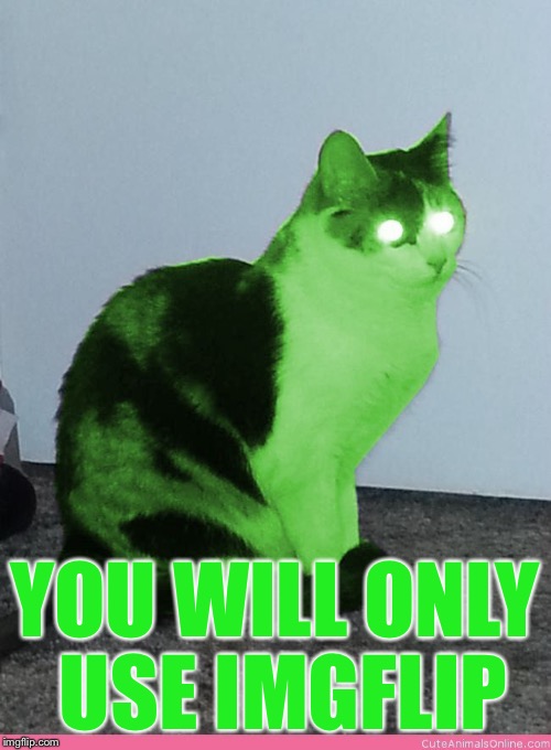 Hypno Raycat | YOU WILL ONLY USE IMGFLIP | image tagged in hypno raycat | made w/ Imgflip meme maker