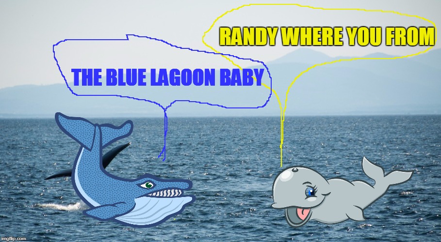 THE BLUE LAGOON BABY; RANDY WHERE YOU FROM | made w/ Imgflip meme maker