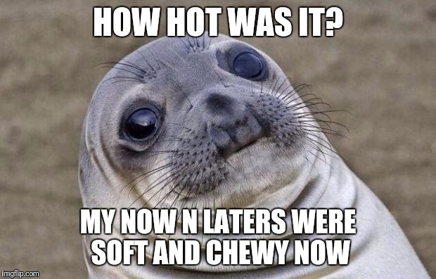 In fact, they were melty and sticking to the wrappers. | HOW HOT WAS IT? MY NOW N LATERS WERE SOFT AND CHEWY NOW | image tagged in memes,awkward moment sealion,summer,now n later | made w/ Imgflip meme maker